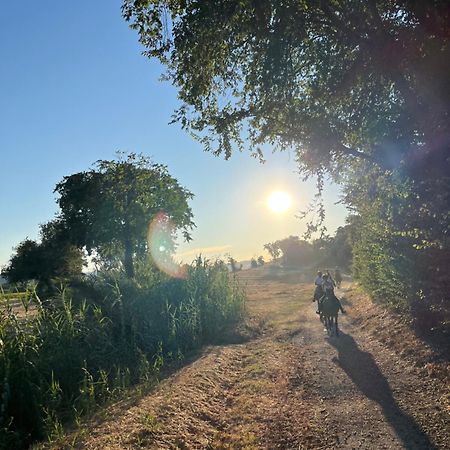 Agriturismo Hornos Нумана Экстерьер фото