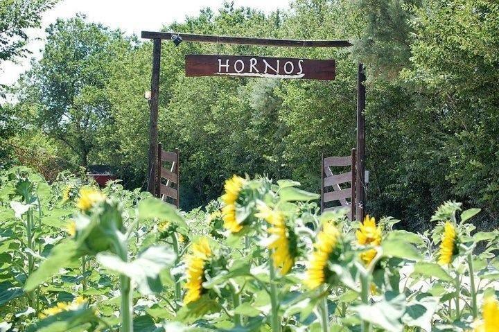Agriturismo Hornos Нумана Экстерьер фото